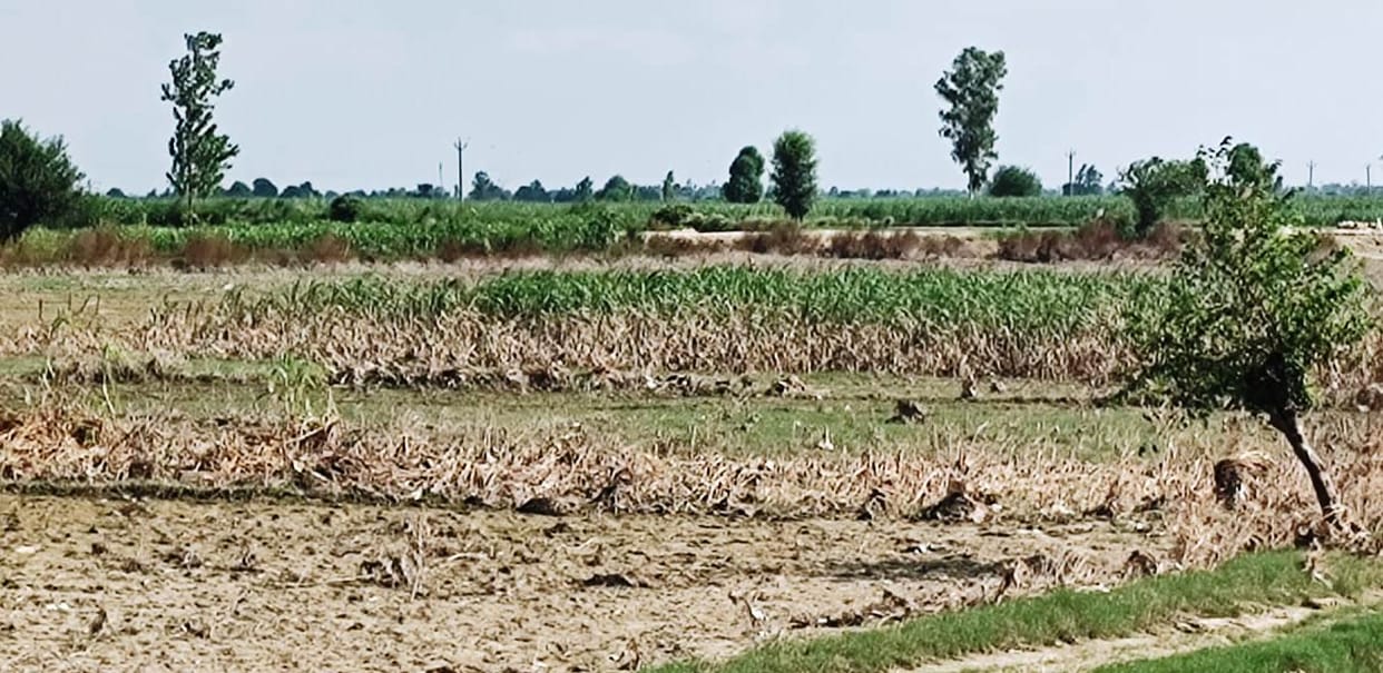 Hindon water level recedes, leaving behind a trail of devastation.