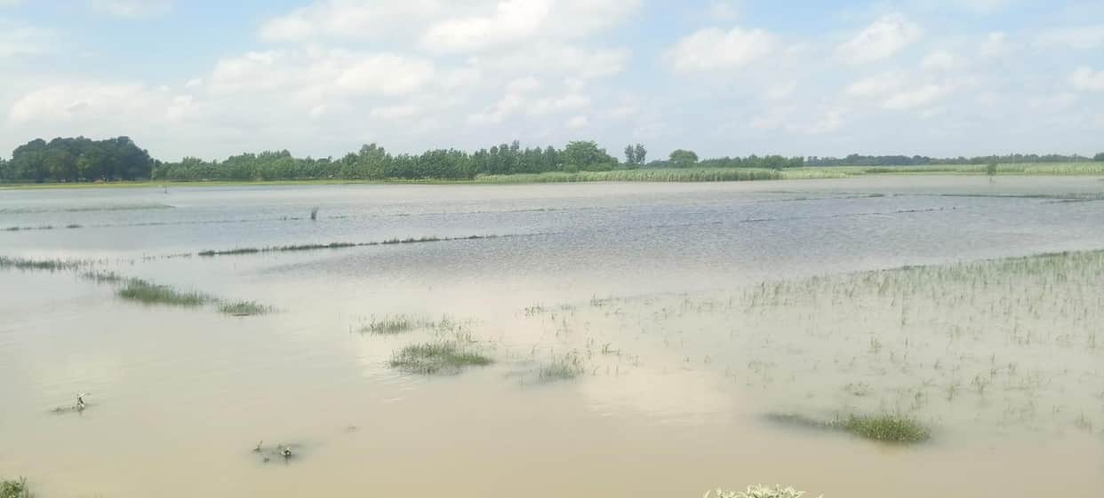 Saryu overflows, water enters fields; alert issued for 12 villages.