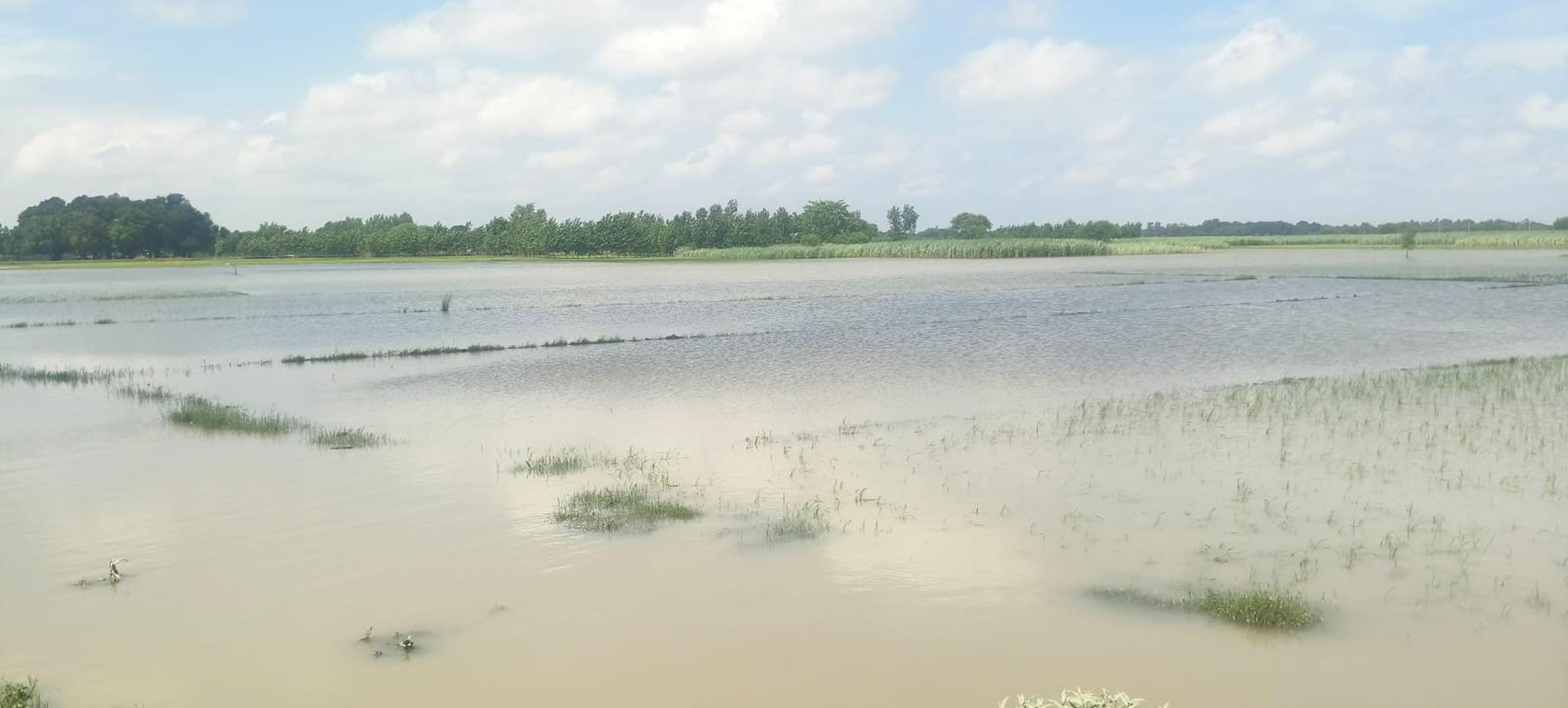 सरयू का जलस्तर बढ़ने से खेतों में घुसा पानी।