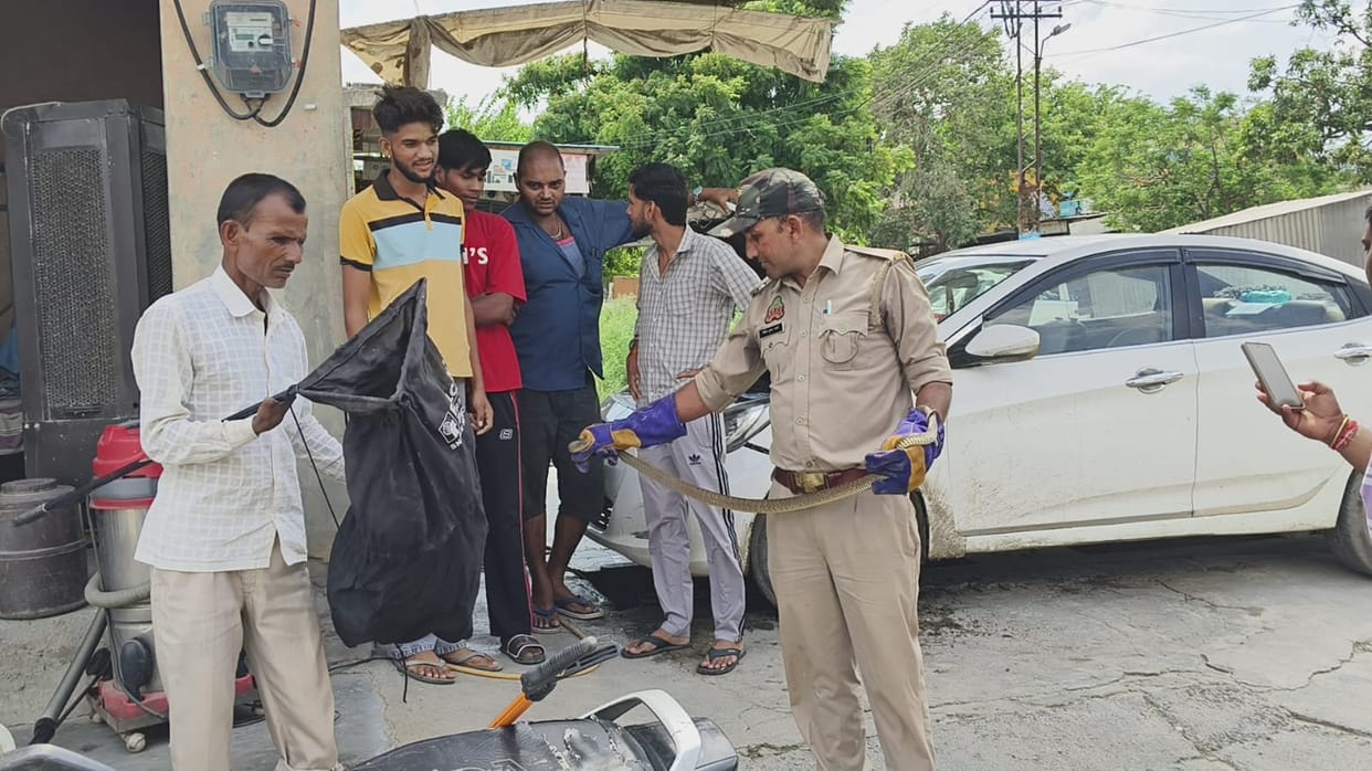 Snake enters Sub-Inspector's car; caught after two-and-a-half-hour struggle.