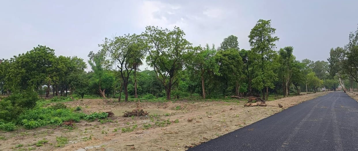 Land secured for medical manufacturing hub; 2,000 youths to get employment.