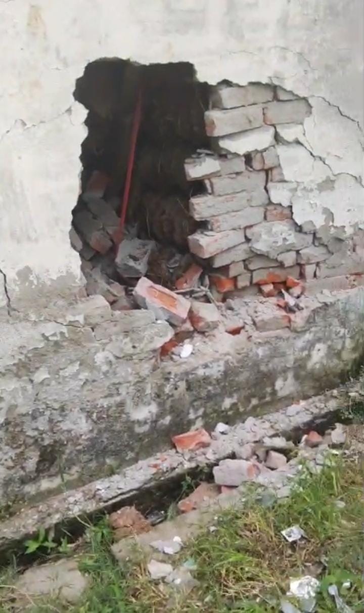 House wall collapses after being hit by out-of-control Bolero; teenage girl injured.