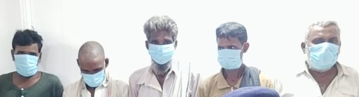Five members of a cow-slaughter gang arrested under the Gangster Act