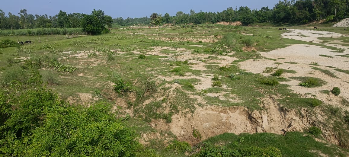 The elderly man was dragged from his hut and brutally beaten; he died the next day.