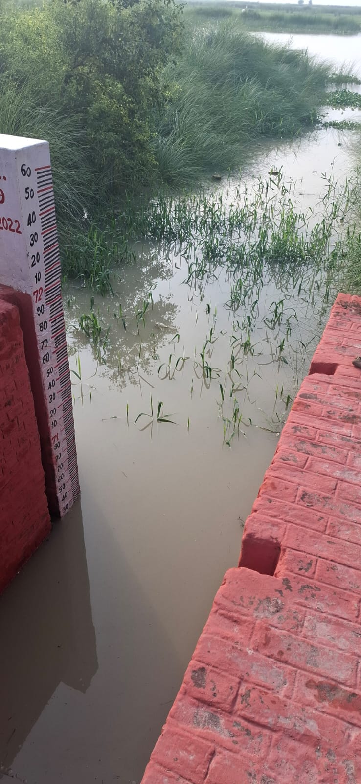 Saryu flowing 19 cm above the red mark at Dighiya Nala.