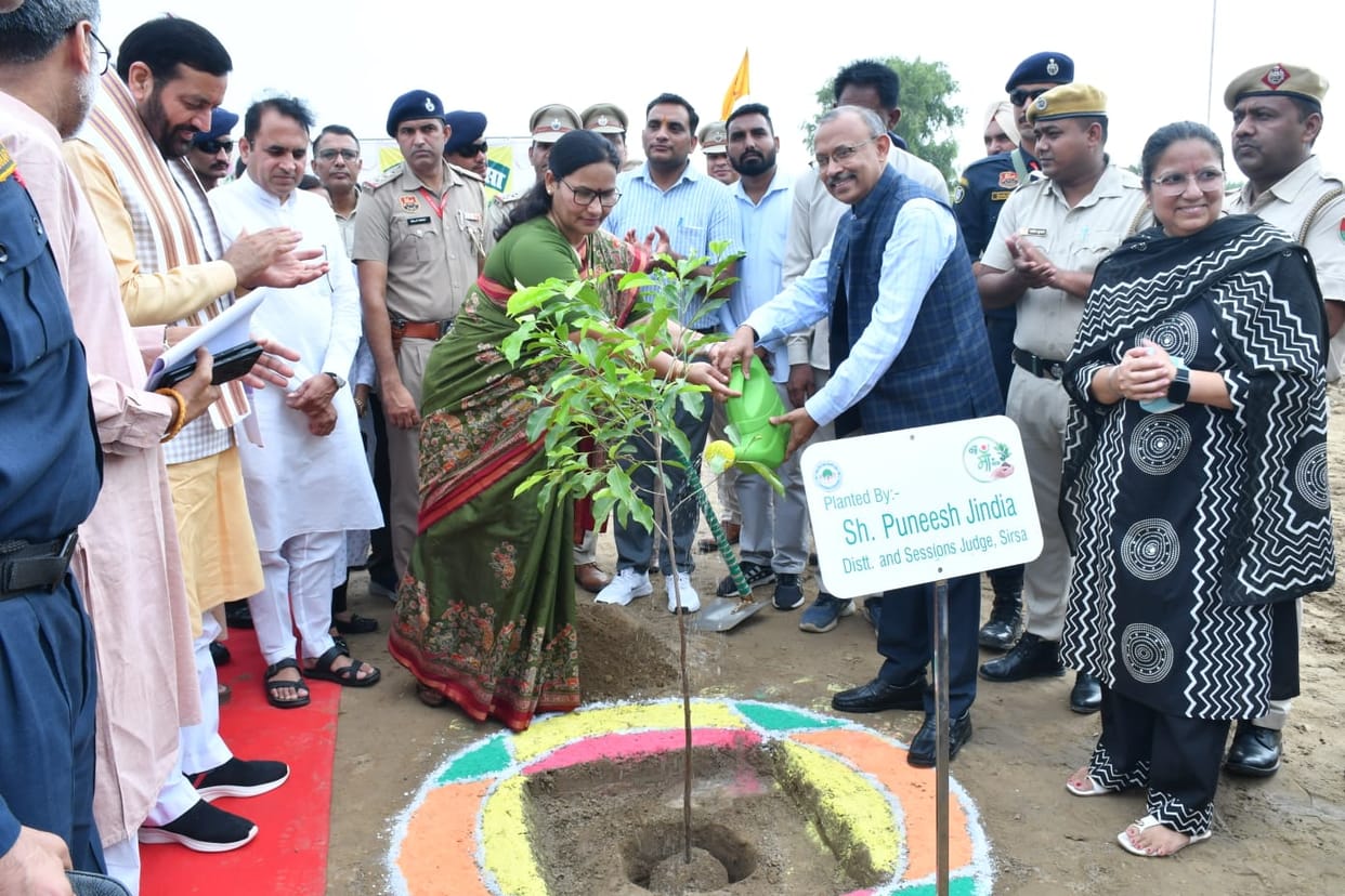 plantation in cdlu