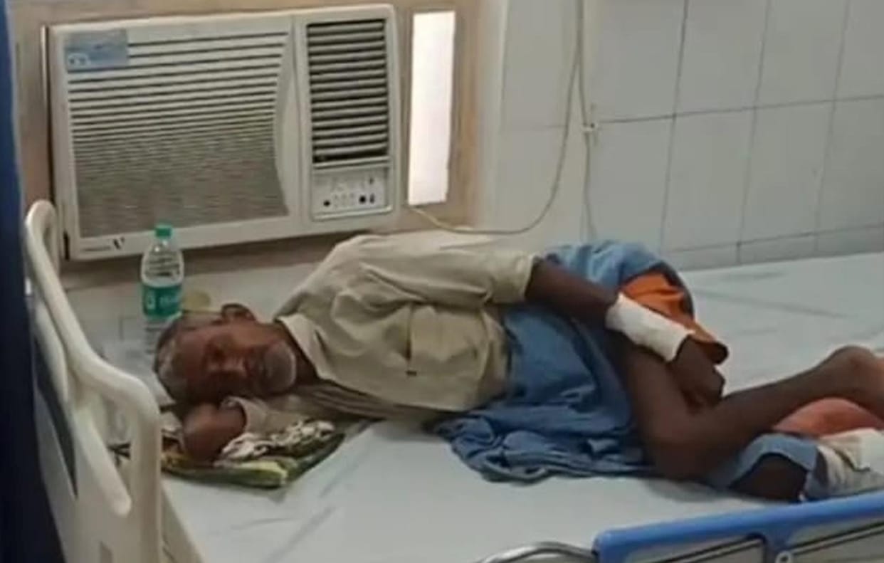 Dog attacks elderly man; condition serious.