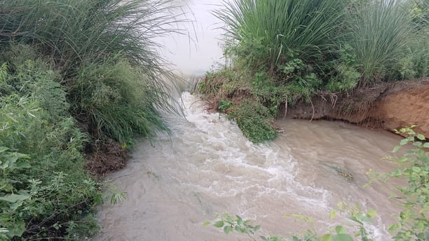 Canal track cut near Veerpura, fields filled with water