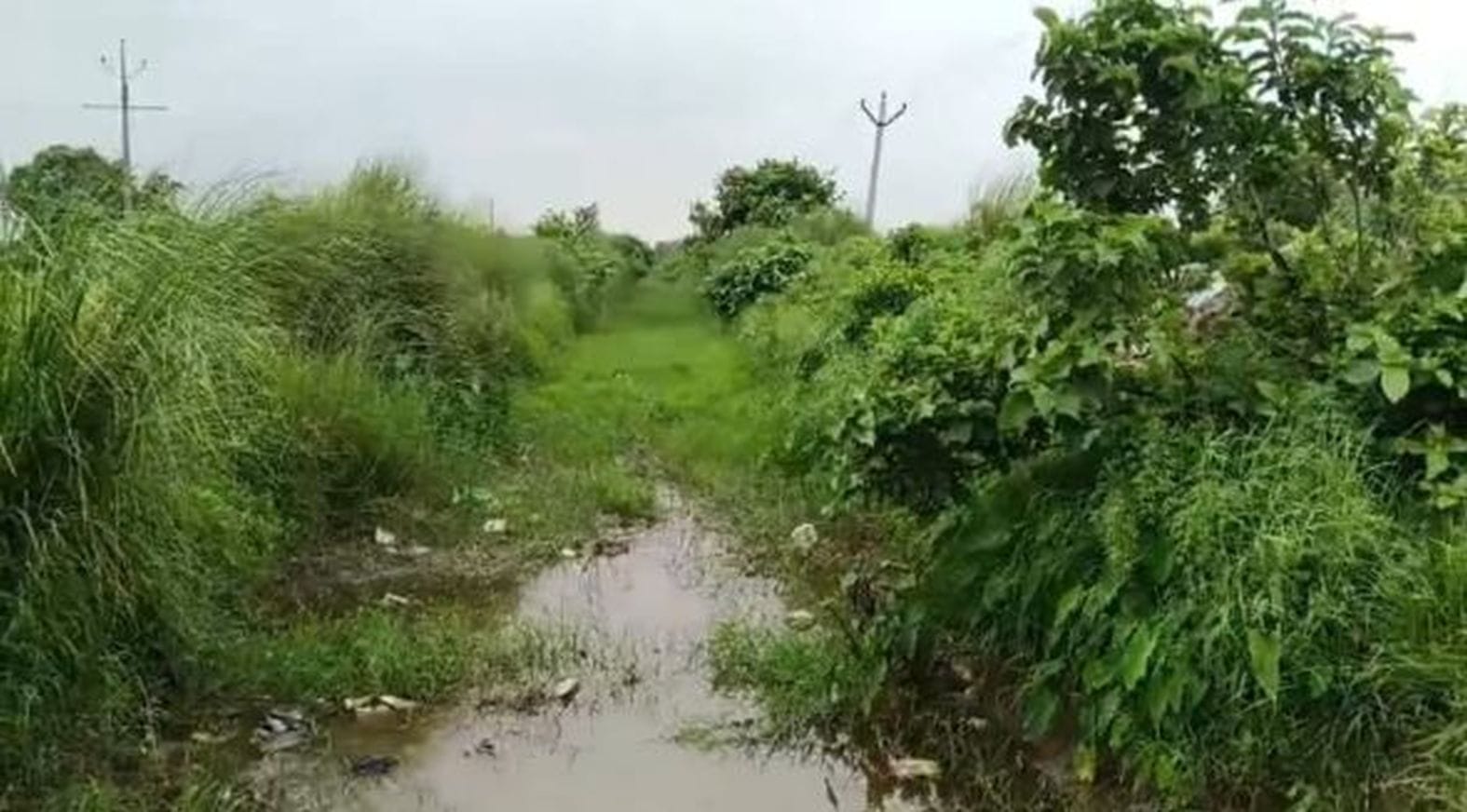 सूखा पड़ा चांदा रजबाहा। संवाद