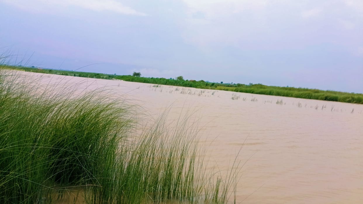 Saryu River water level rises; crops at risk