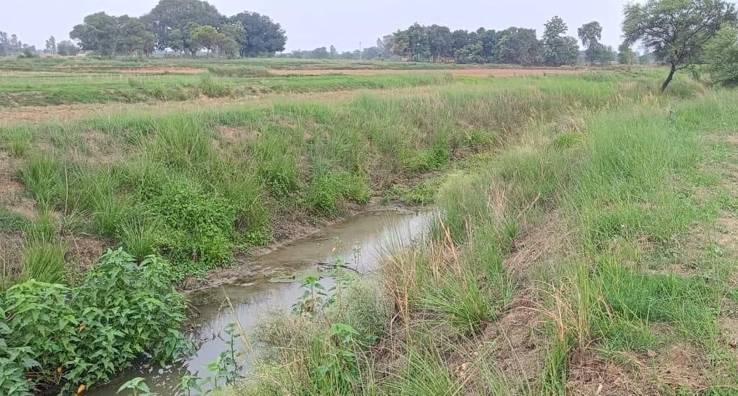 A small bridge will be constructed over the drain in Arangi at a cost of 1.10 crore.
