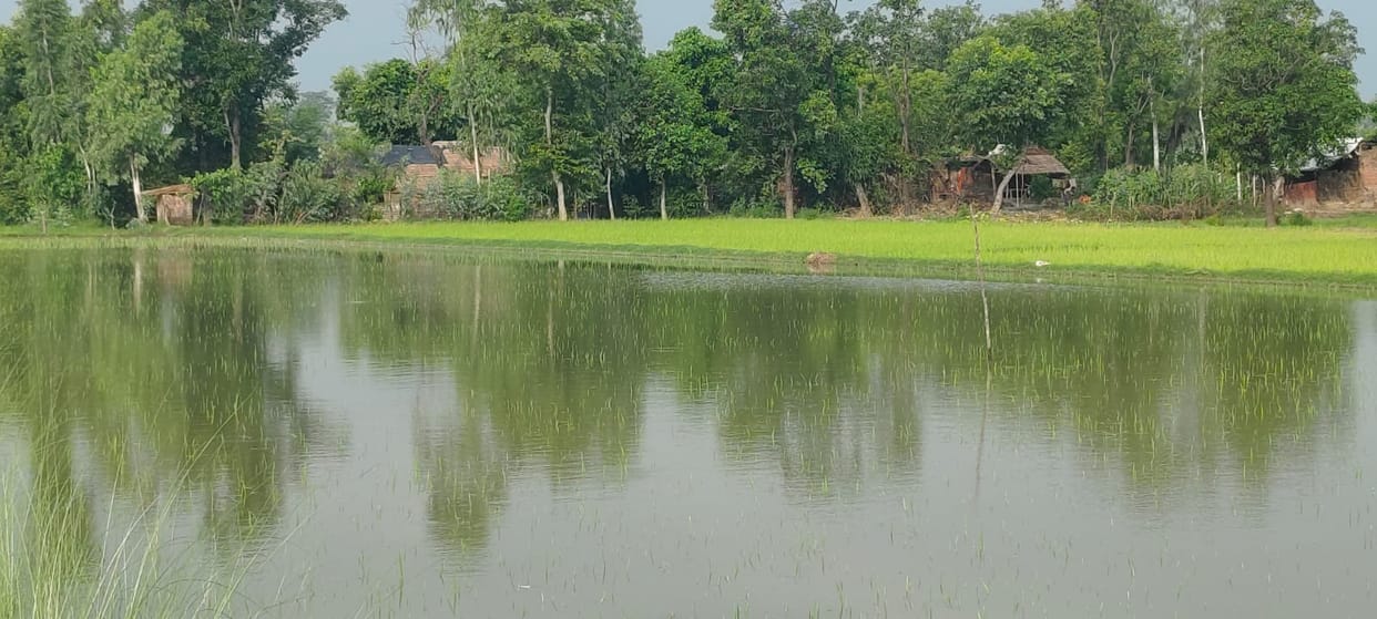 Access roads to three villages submerged due to the swelling Saryu River