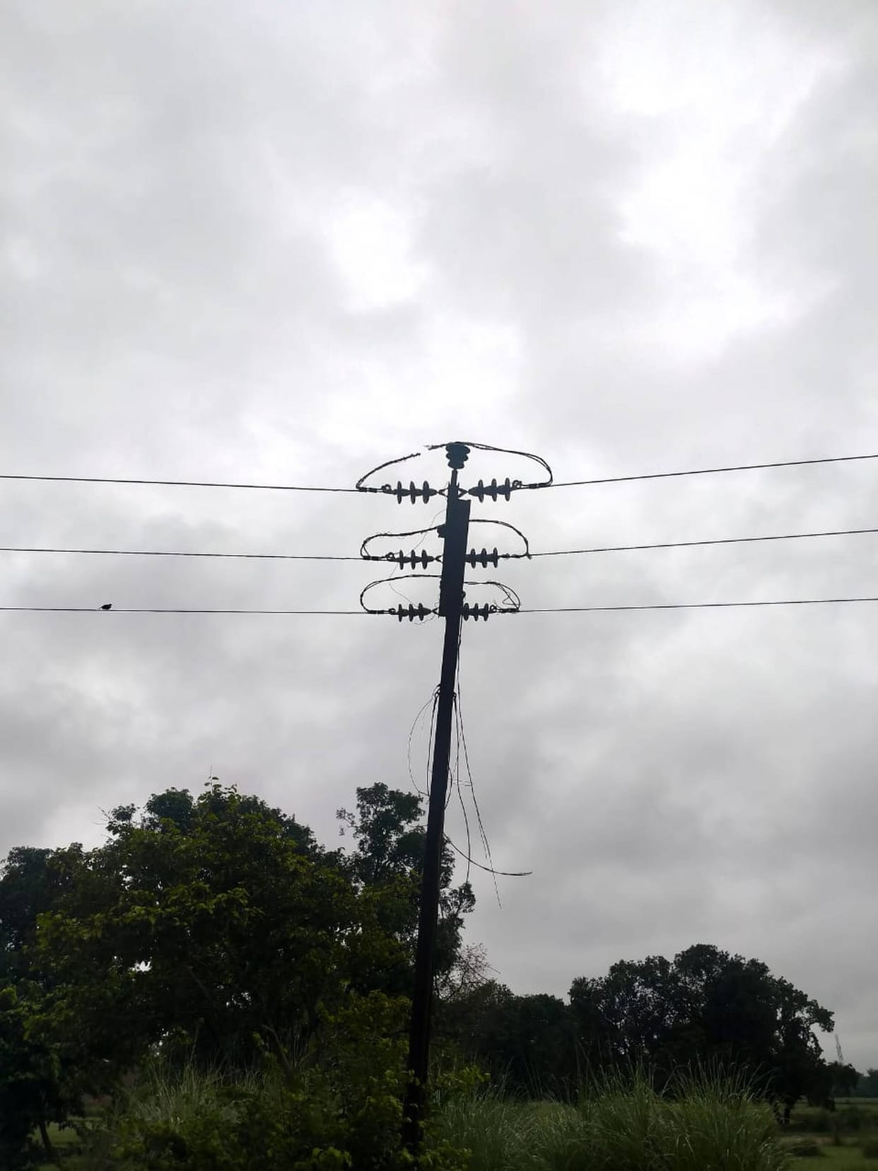A population of one lakh remained troubled all night due to a fault in the HT line