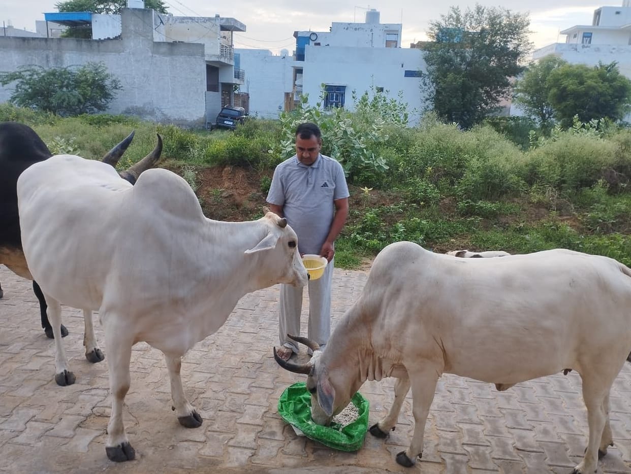 Former Education Minister's birthday celebrated by serving cows.