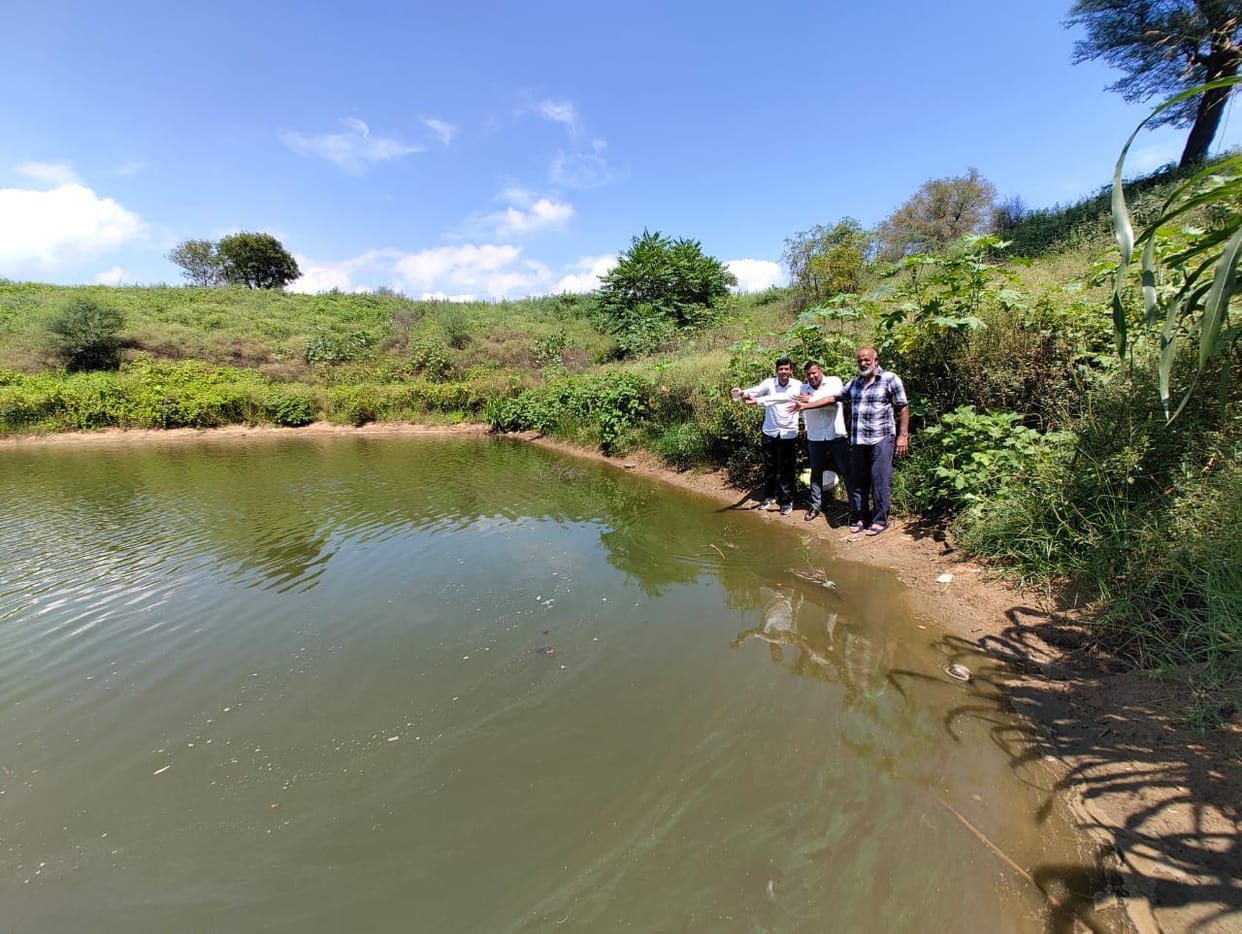 Campaign launched to curb dengue using Gambusia fish.