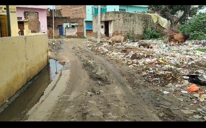 फोटो-28-एरवाटीकुर में मंदिर मार्ग पर कीचड़ व फैली गंदगी।संवाद