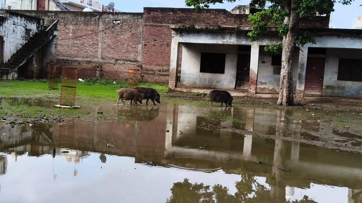 Waterlogging at Premanand Ashram causes inconvenience.