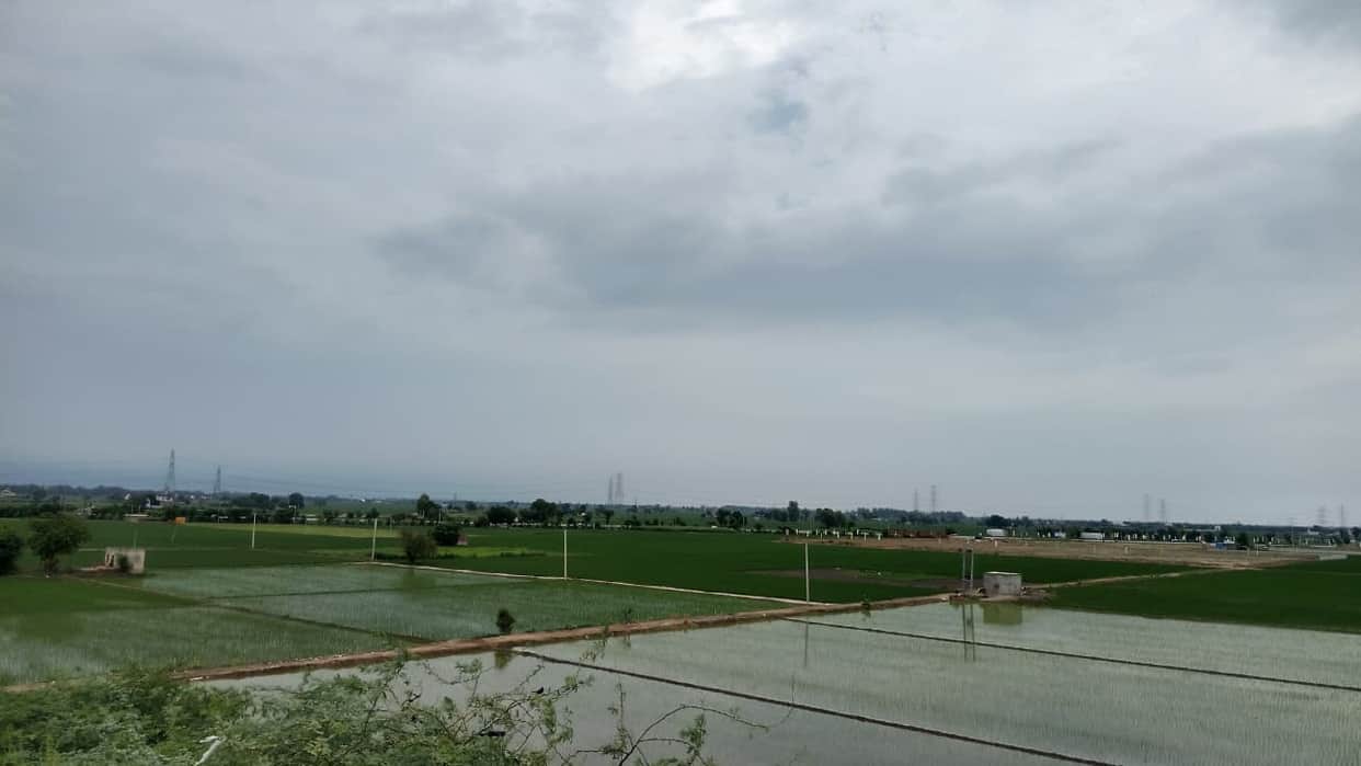 Breeze brings relief from humidity; rain likely until the 30th