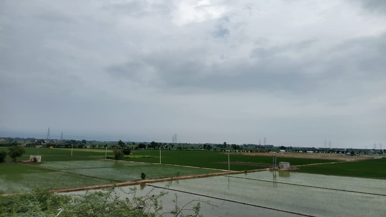 Breeze brings relief from humidity; rain likely until the 30th