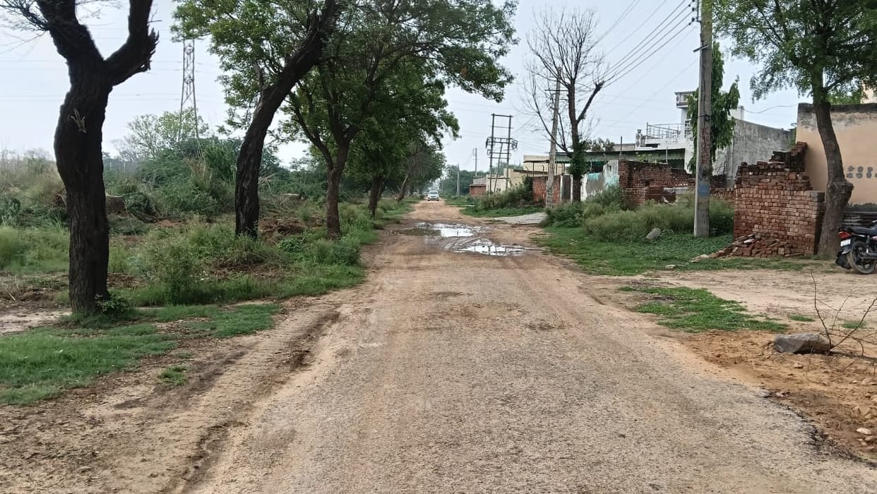 Construction of 2.25 crore Rupees CC road stalled due to obstruction by 50 trees