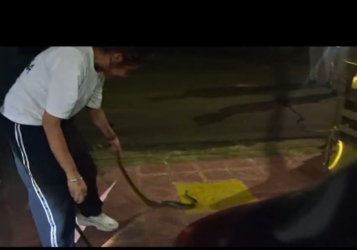 Six-foot-long snake enters house; police and snake catcher capture it safely.