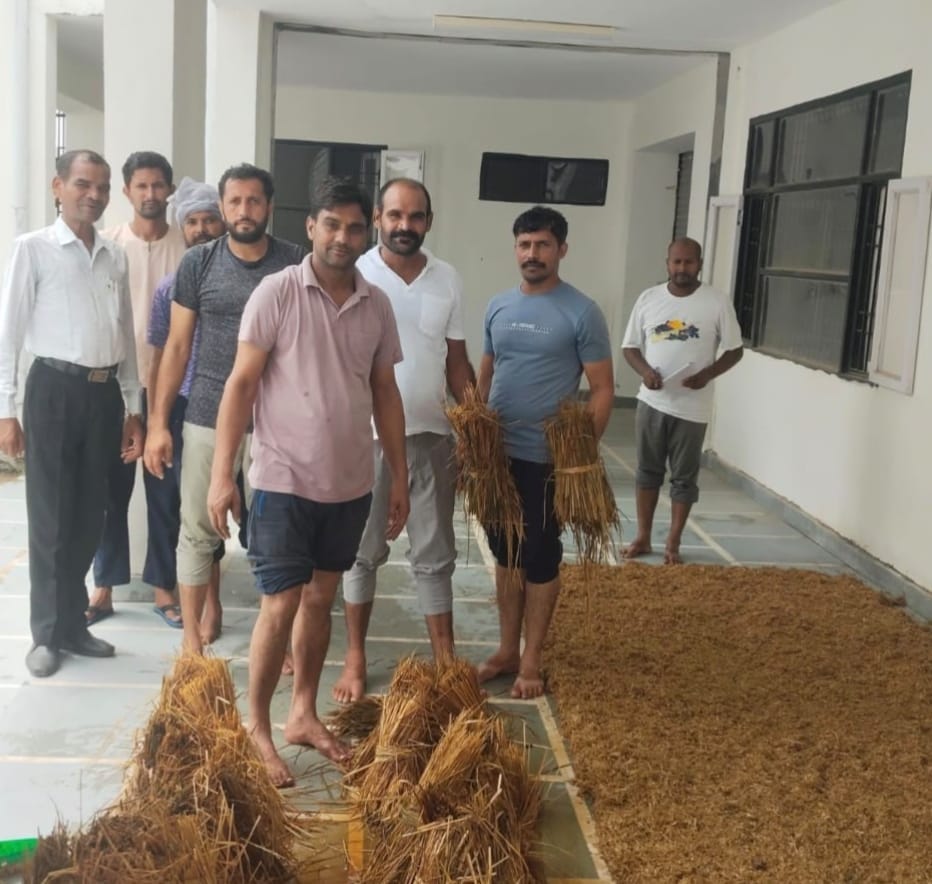 Prisoners in jail trained in mushroom cultivation.