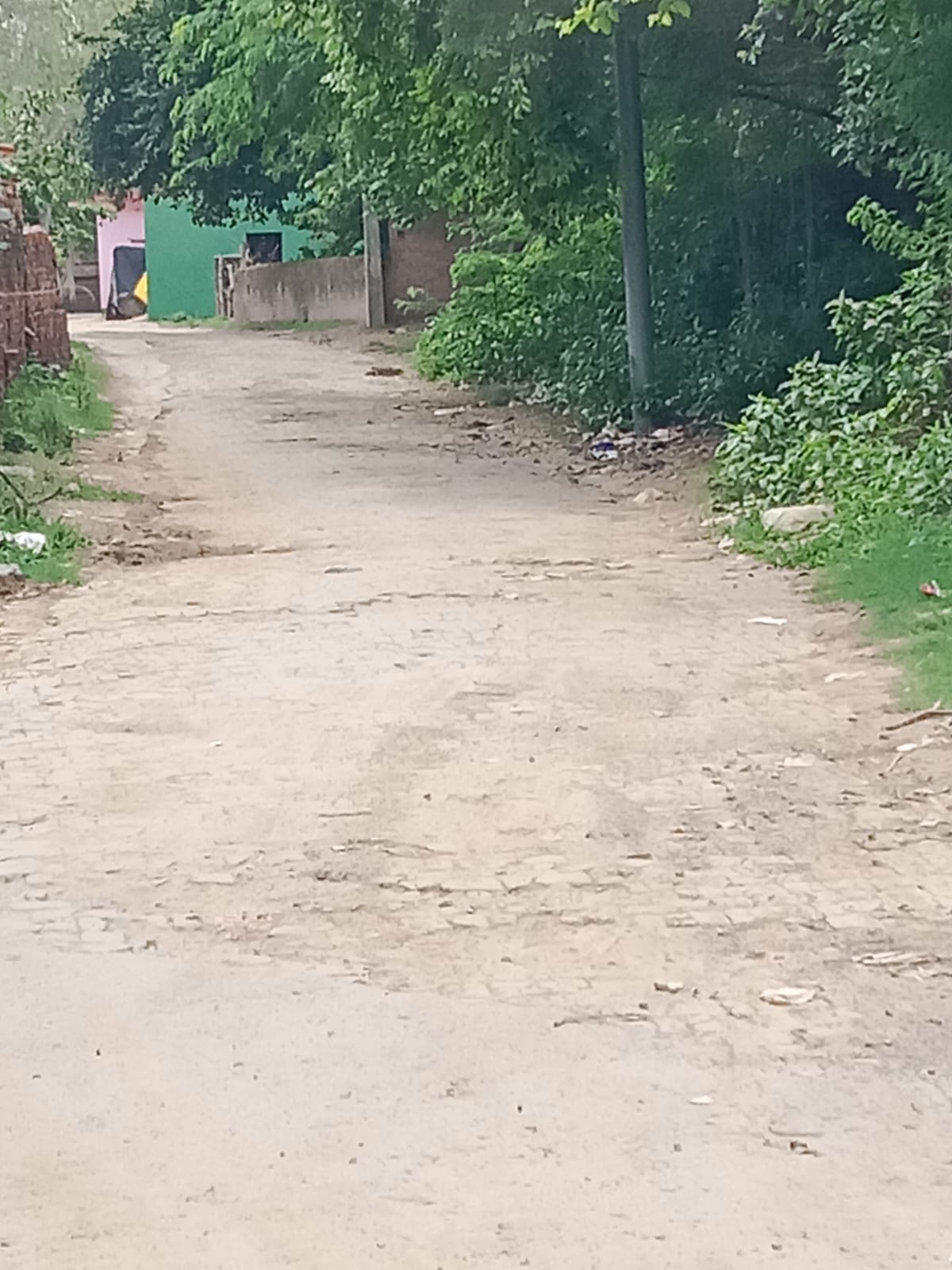  निर्माण के लिए प्रस्तावित बाबा खनकेर दास कुटी का संपर्क मार्ग। संवाद
