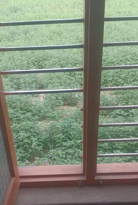 theft in dhani