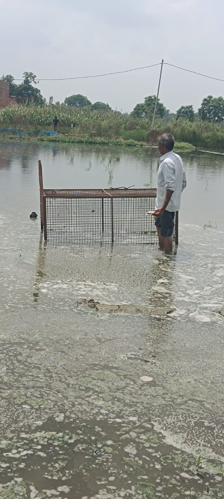 छतारी के लालगढ़ी गांव में मगरमच्छ के लिए लगाए पिंजड़े को देखता ग्रामीण। स्रोत : वन विभाग