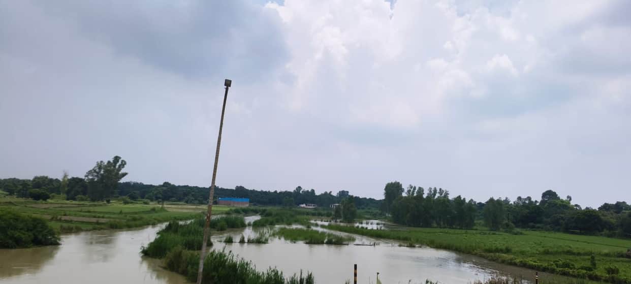 unnao news