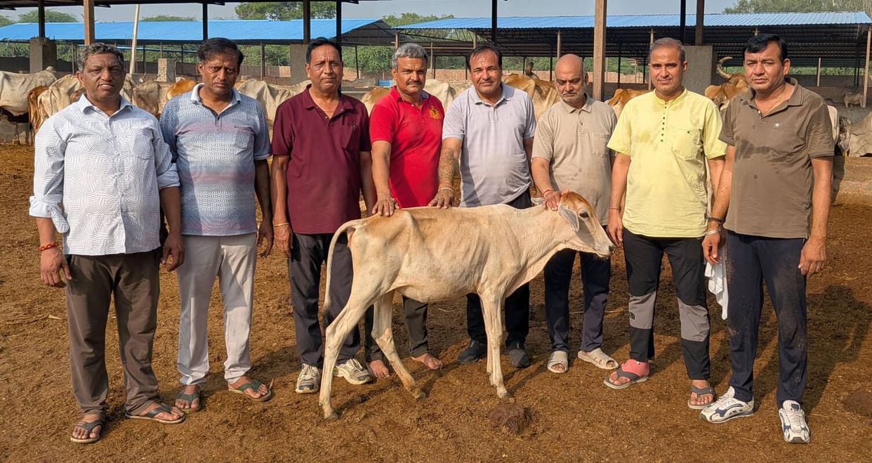 Serving cows brings the blessings of gods and goddesses: Sanjay Verma