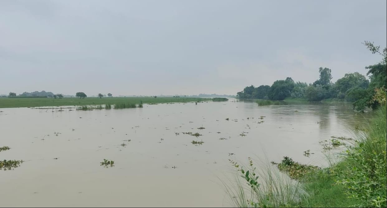 Rising river waters surged towards the fields, submerging Kharif and vegetable crops.