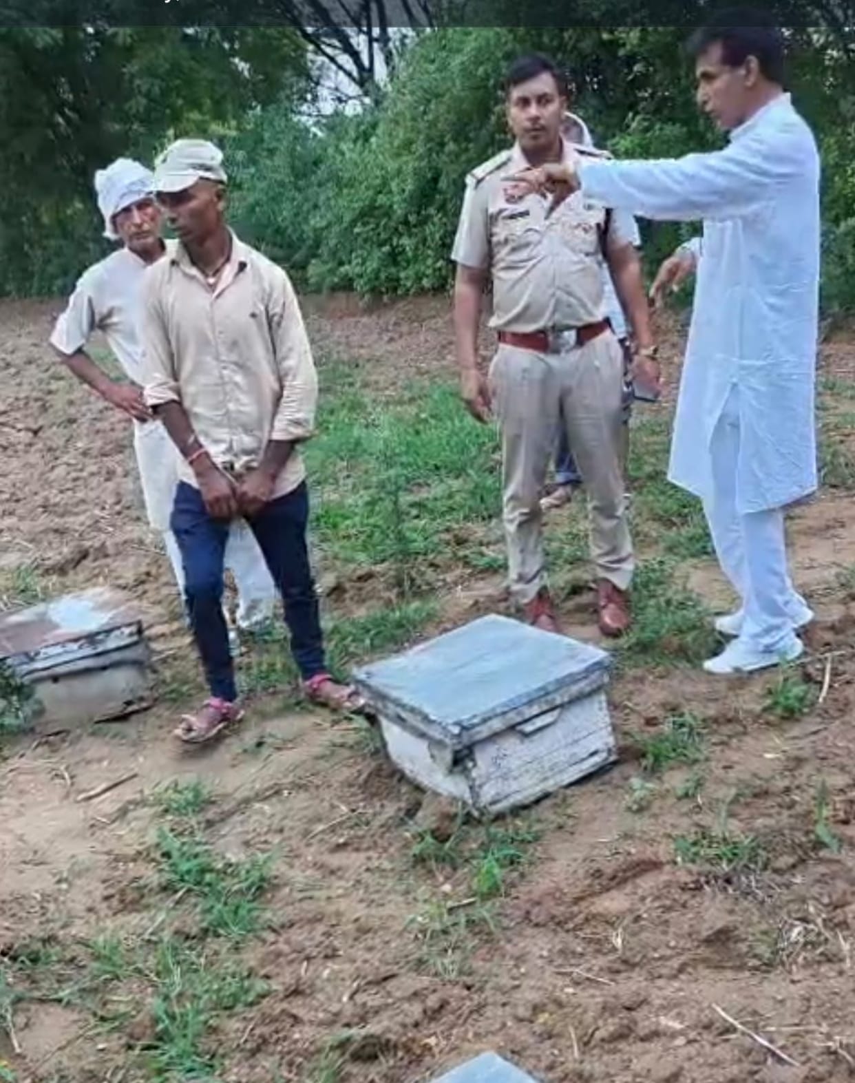 232 boxes stolen from honeybee farm; bees destroyed using toxic substance.