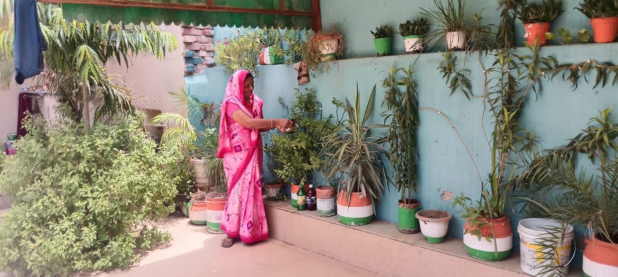 Manju created a garden by adding plants one by one.