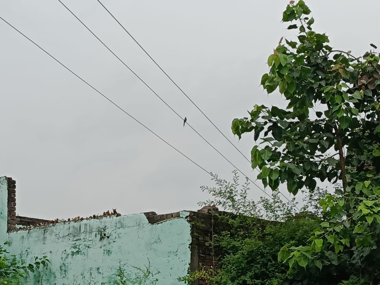 Student gets burnt after coming in contact with high tension line, admitted