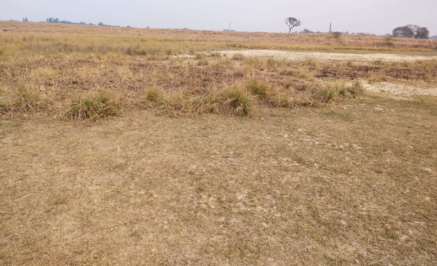 करौंदीकला के बहाउद्दीनपुर में स्टेडियम की प्रस्तावित जमीन। संवाद