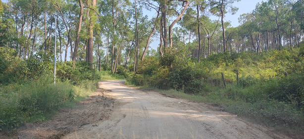 Mandwa Bridge closed; dilapidated road now a new problem for the public.