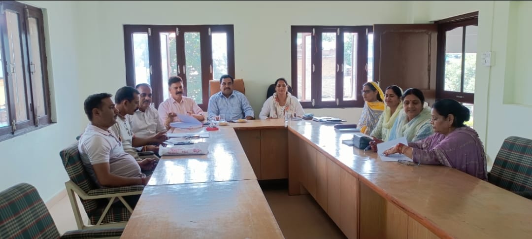 Crackdown on house owners failing to pay house tax in Ghumarwin