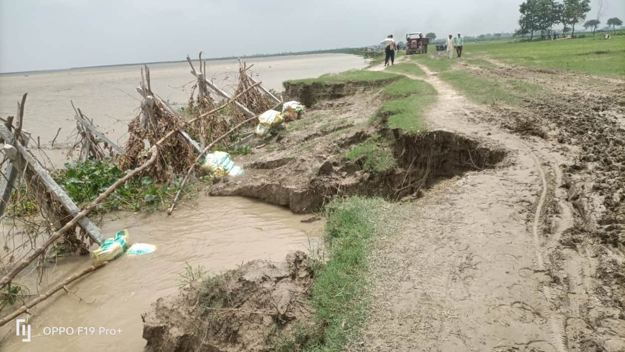 3.74 crore rupees of Percypine sunk, no relief found