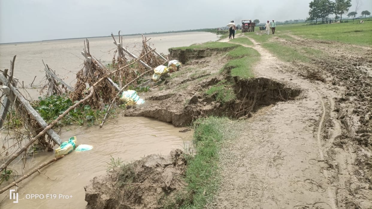 3.74 crore rupees of Percypine sunk, no relief found