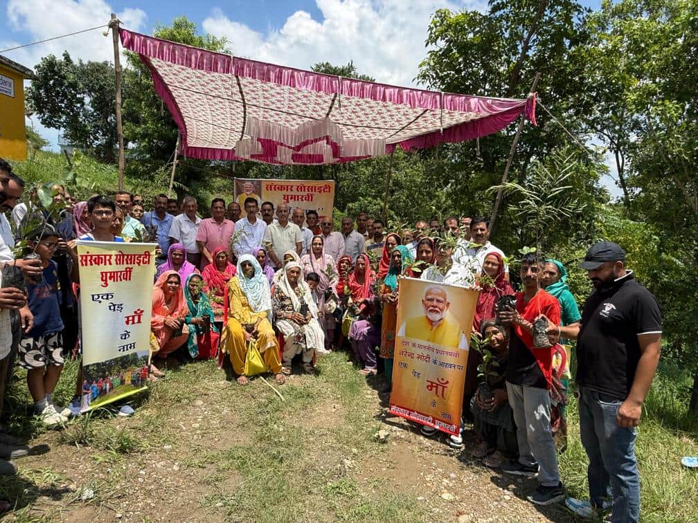 Plant care is essential: Dharmani