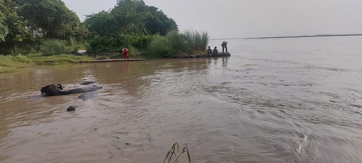 Panic in riverside areas due to a 20 cm rise in the Saryu River's water level.
