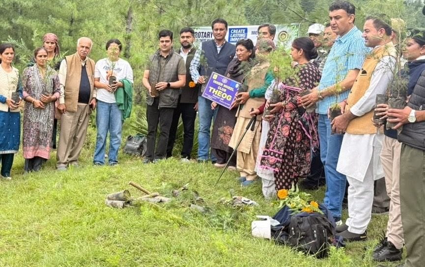 Rotary Club Theog Hills planted 200 Deodar saplings