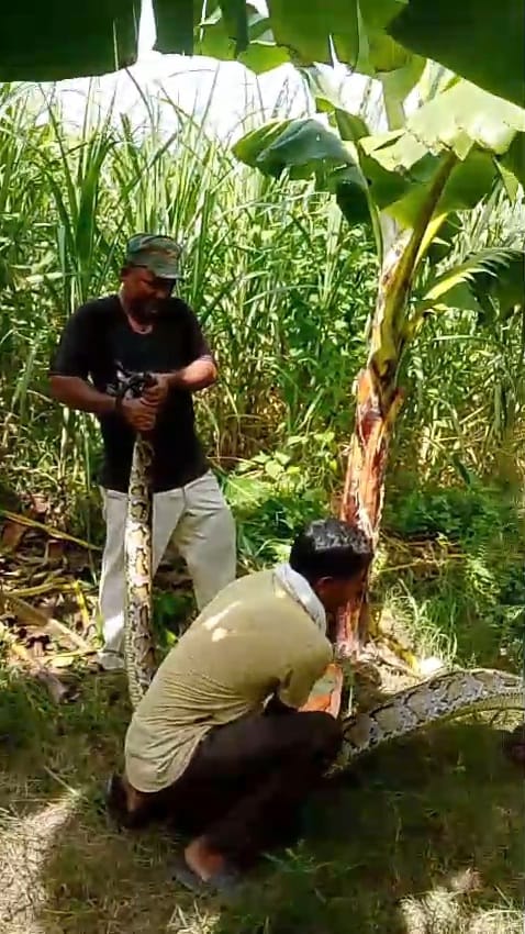 Villager seriously injured in violent wildlife attack
