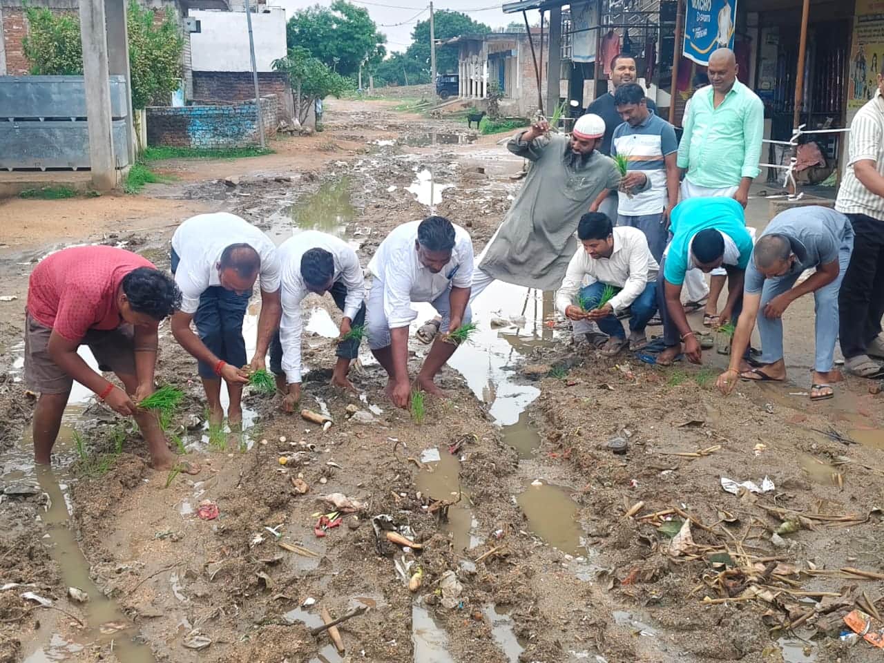बभनी क्षेत्र में किचड़ युक्त सड़क पर धान की रोपाई कर विरोध करते लोग। स्रोत स्वयं