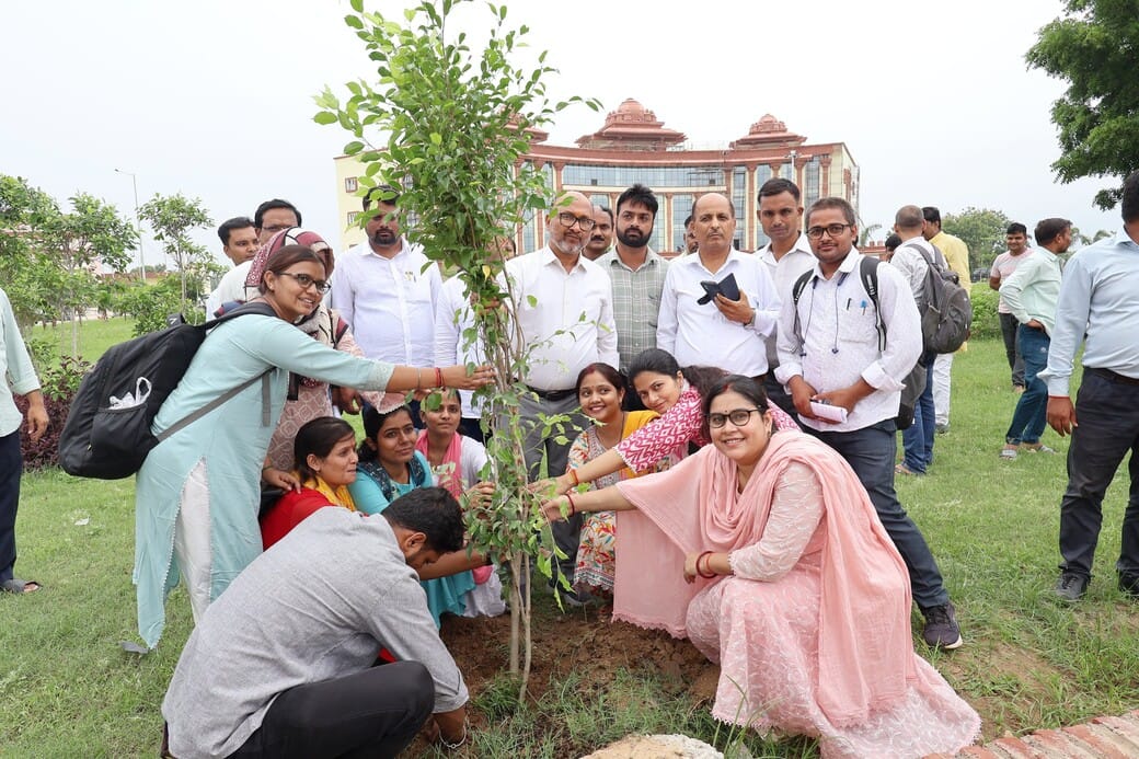 145 researchers planted saplings; the campaign gained momentum