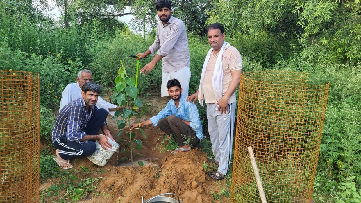 Mission Janseva Samiti planted 11 Peepal saplings.