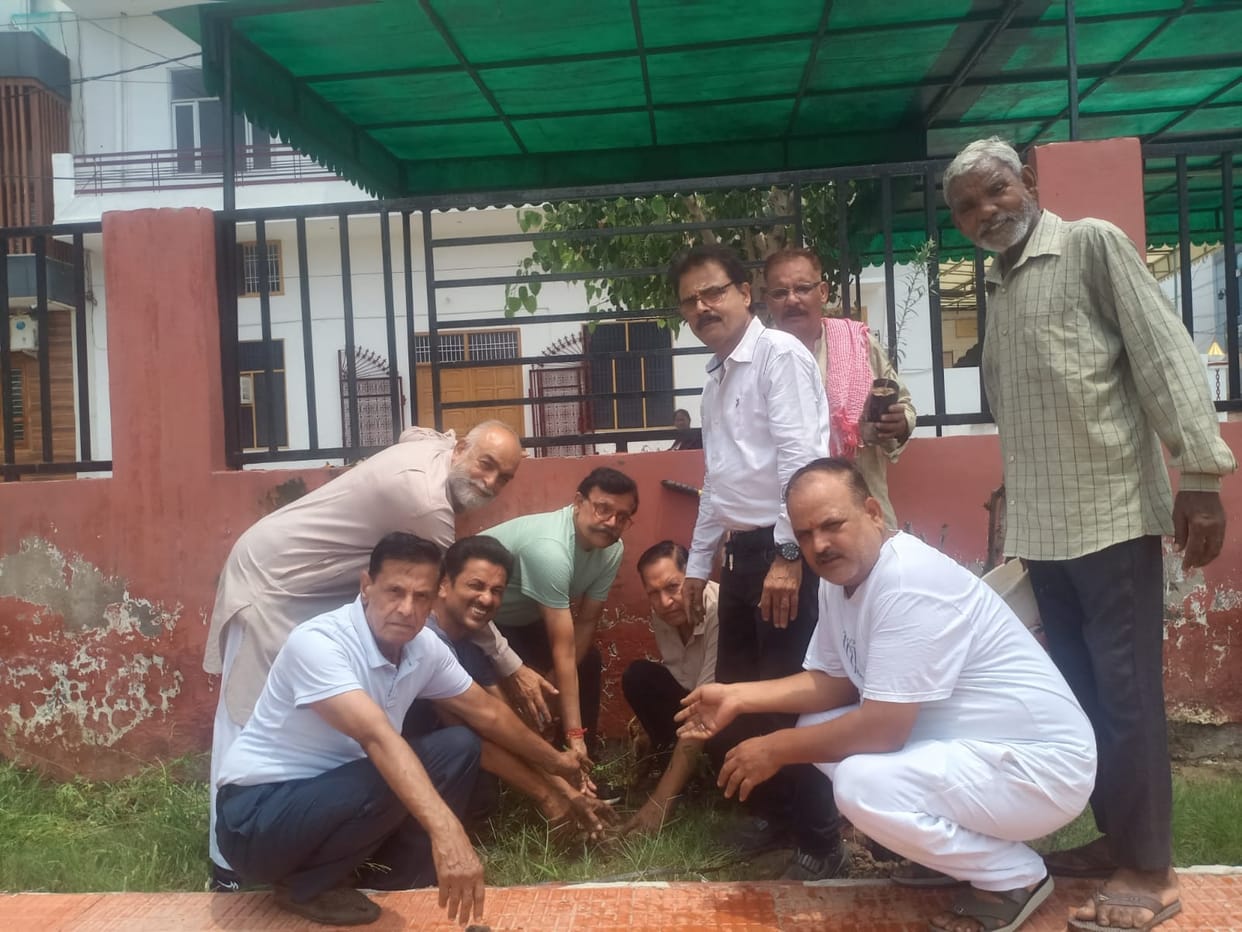 Gudgudi Junction planted 380 saplings