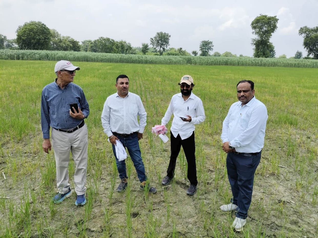 Farmers practicing advanced farming using DSR technology.