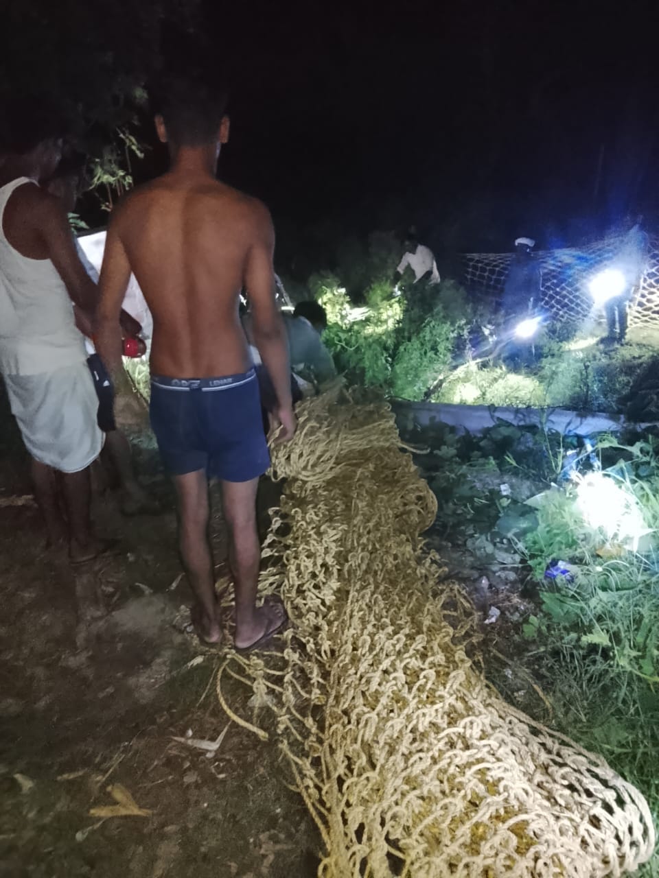 Female crocodile with two cubs in Jhanna drain, panic